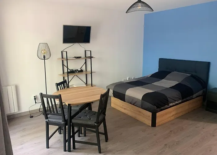 Appartement T1 Proche Aeroport